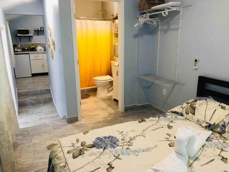 New Luxurious Studio Private In The Heart Of Miami Ngoại thất bức ảnh