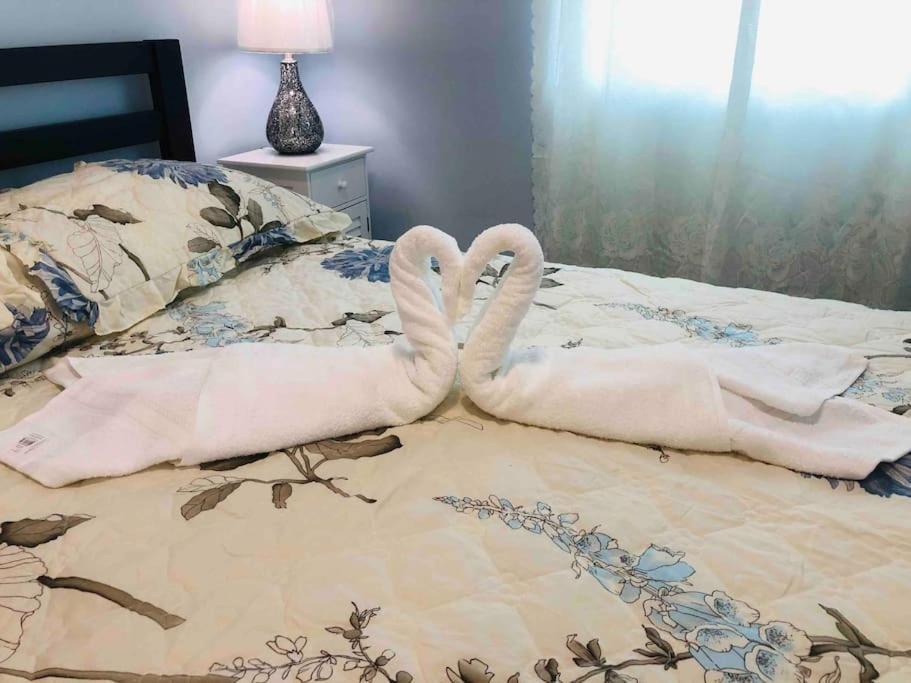 New Luxurious Studio Private In The Heart Of Miami Ngoại thất bức ảnh