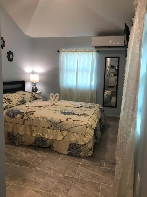 New Luxurious Studio Private In The Heart Of Miami Ngoại thất bức ảnh