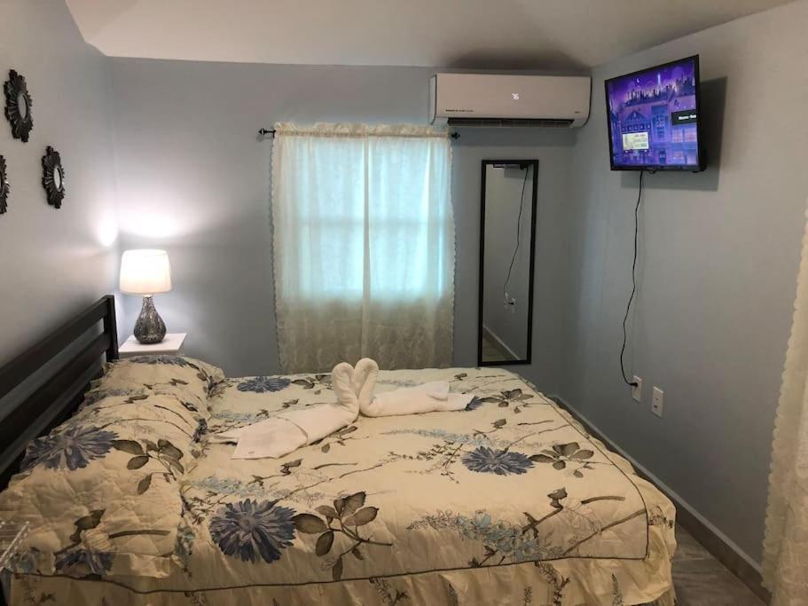 New Luxurious Studio Private In The Heart Of Miami Ngoại thất bức ảnh
